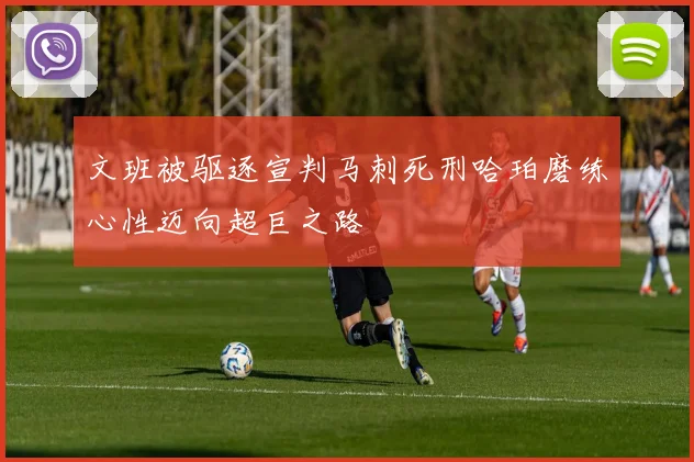 文班被驱逐宣判马刺死刑哈珀磨练心性迈向超巨之路