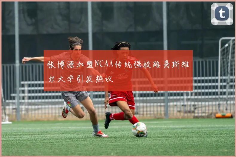 张博源加盟NCAA传统强校路易斯维尔大学引发热议